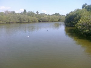 Bartlett Pond